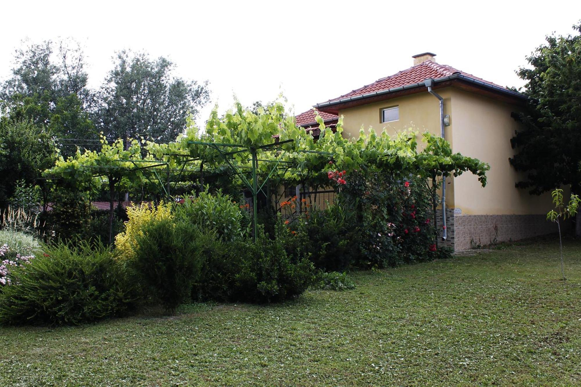 Guesthouse Planinsko Gnezdo Tŭzha Exterior photo